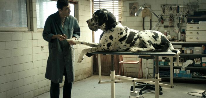 Dogman: la recensione del film di Matteo Garrone