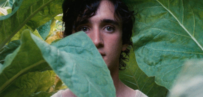 Lazzaro Felice: la recensione del film di Alice Rohrwacher